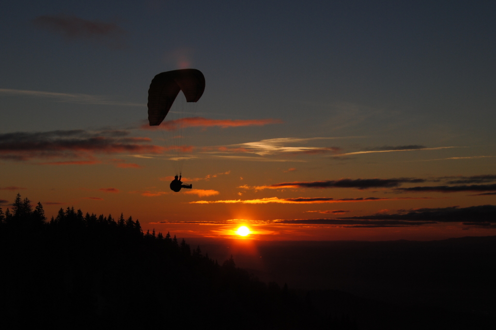 Evening Soaring 1