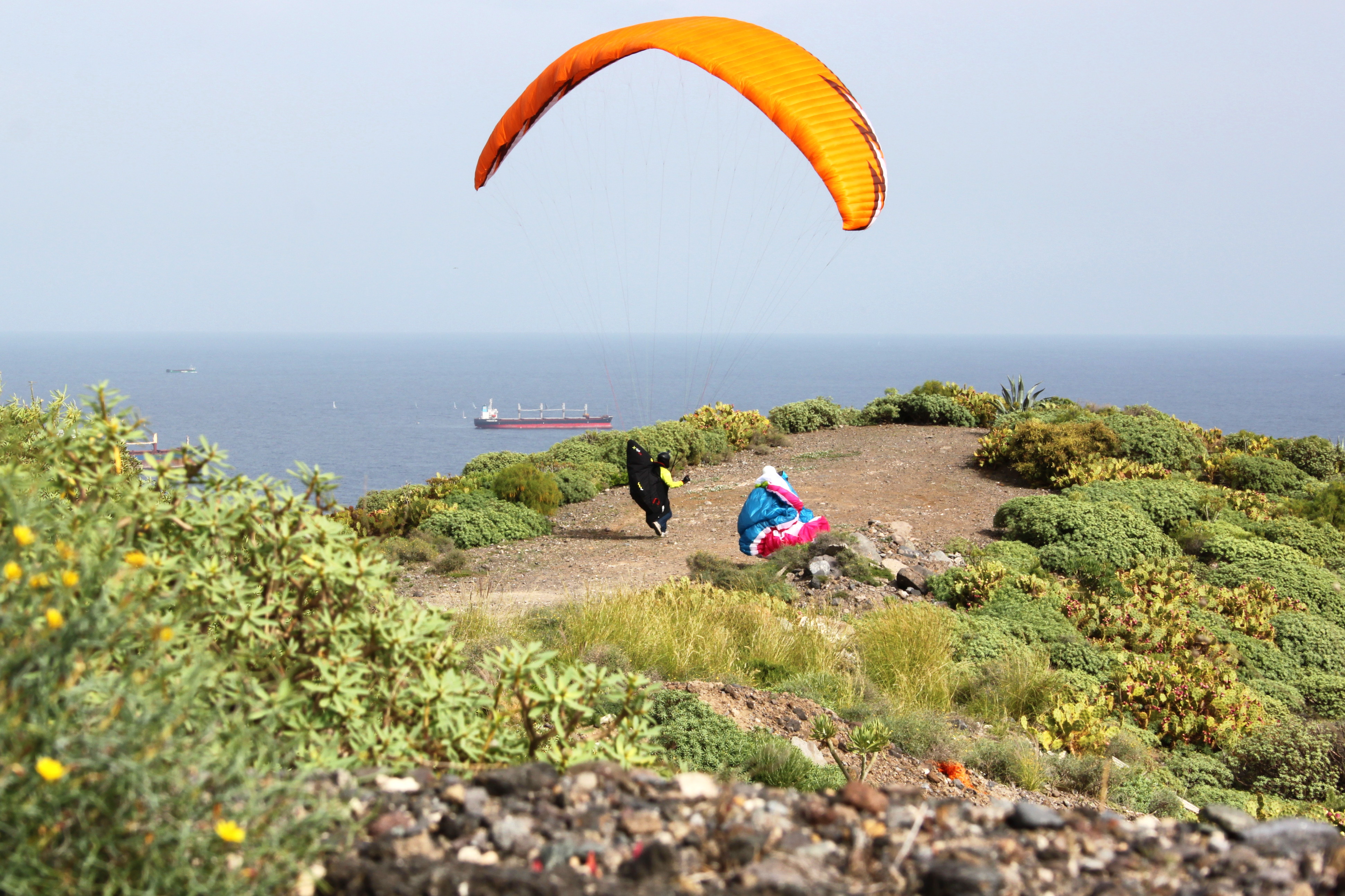 Hans landing together with his new playmate he met in the air.