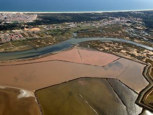 Flamingos Monte Gordo