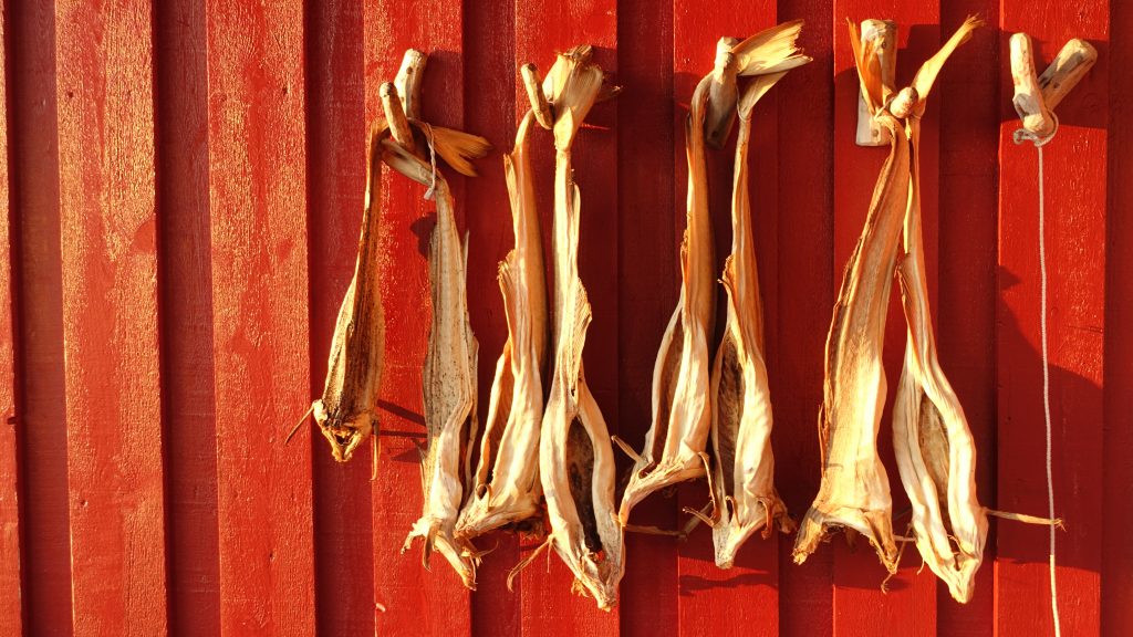 Stockfish